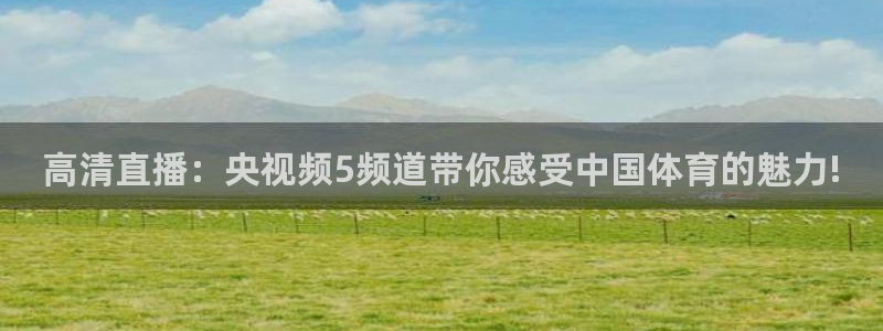 袋鼠直播看球：高清直播：央视频5频道带你感受中国体育的魅力!