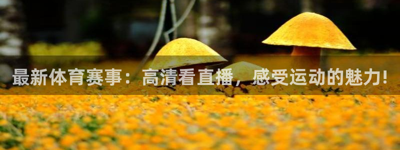袋鼠直播体育免费观看：最新体育赛事：高清看直播，感受运动的魅力!