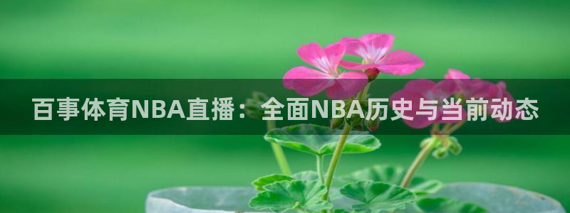 袋鼠直播体育app下载：百事体育NBA直播：全面NBA历史与当前动态
