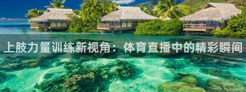 袋鼠直播nba在线看：上肢力量训练新视角：体育直播中的精彩瞬间