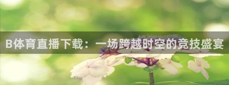 袋鼠体育直播在线观看：B体育直播下载：一场跨越时空的竞技盛宴