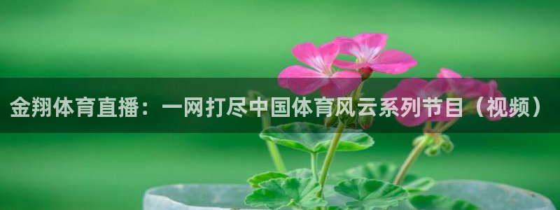 袋鼠直播体育app：金翔体育直播：一网打尽中国体育风云系列节目（视频）