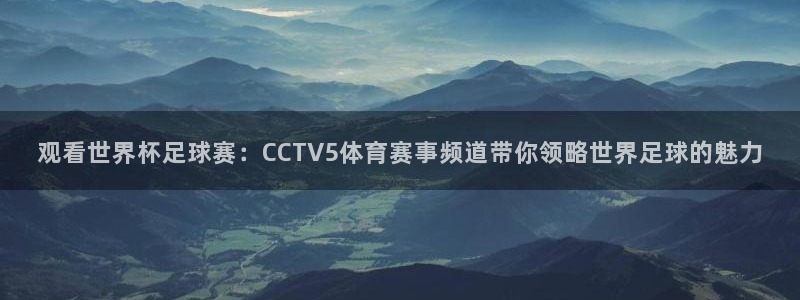 袋鼠直播篮球：观看世界杯足球赛：CCTV5体育赛事频道带你领略世界足球的魅力