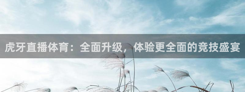 袋鼠直播体育：虎牙直播体育：全面升级，体验更全面的竞技盛宴