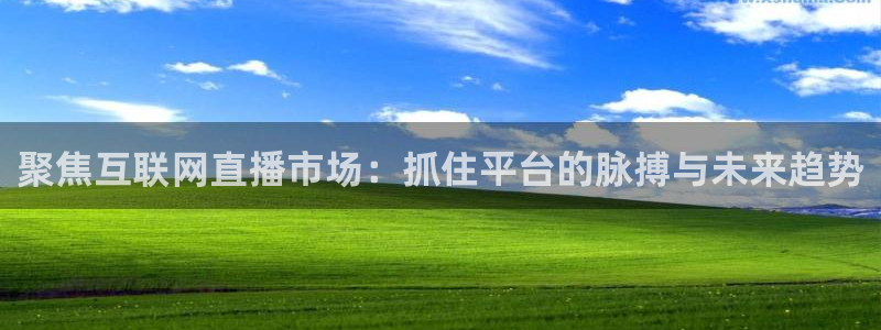 袋鼠nba体育直播：聚焦互联网直播市场：抓住平台的脉搏与未来趋势