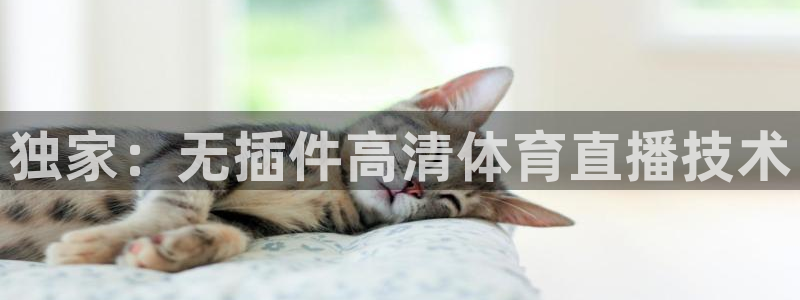 袋鼠体育直播下载：独家：无插件高清体育直播技术