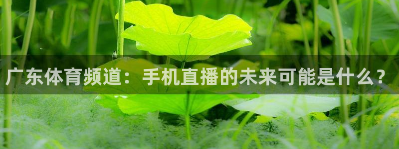 袋鼠直播nba免费观看篮球：广东体育频道：手机直播的未来可能是什么？