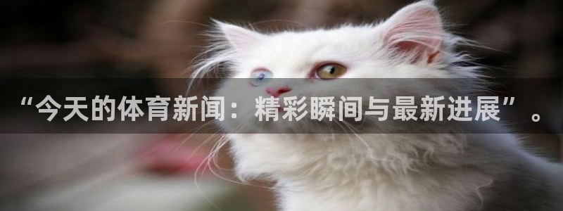 袋鼠直播nba免费观看足球：“今天的体育新闻：精彩瞬间与最新进展”。